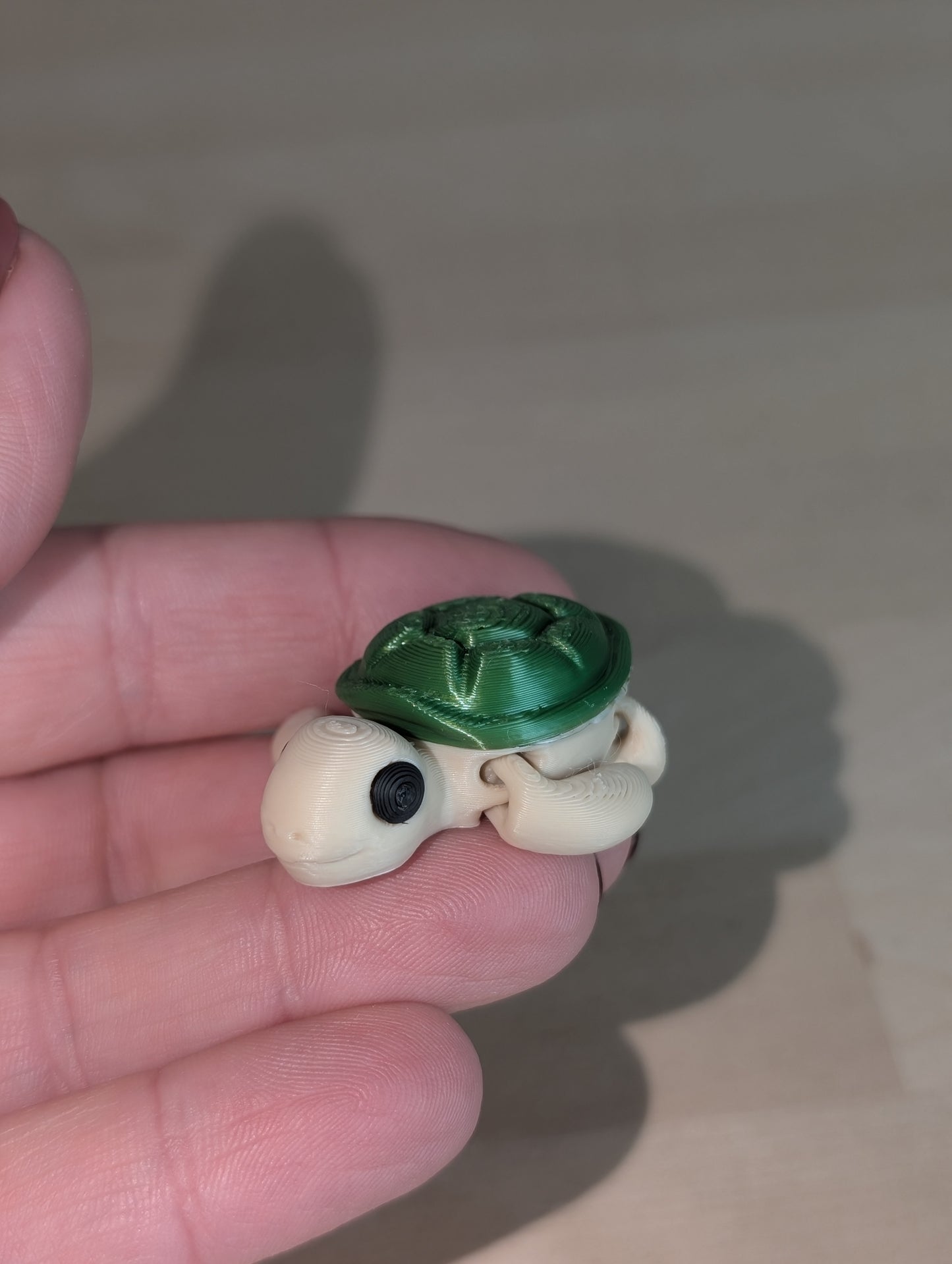 Smallz Turtle